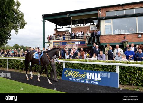 william hill horse racing gg.